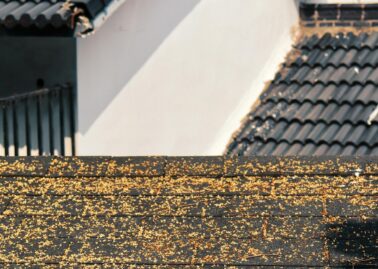 Plan pielęgnacji domu na chłodniejsze miesiące – mycie i impregnacja