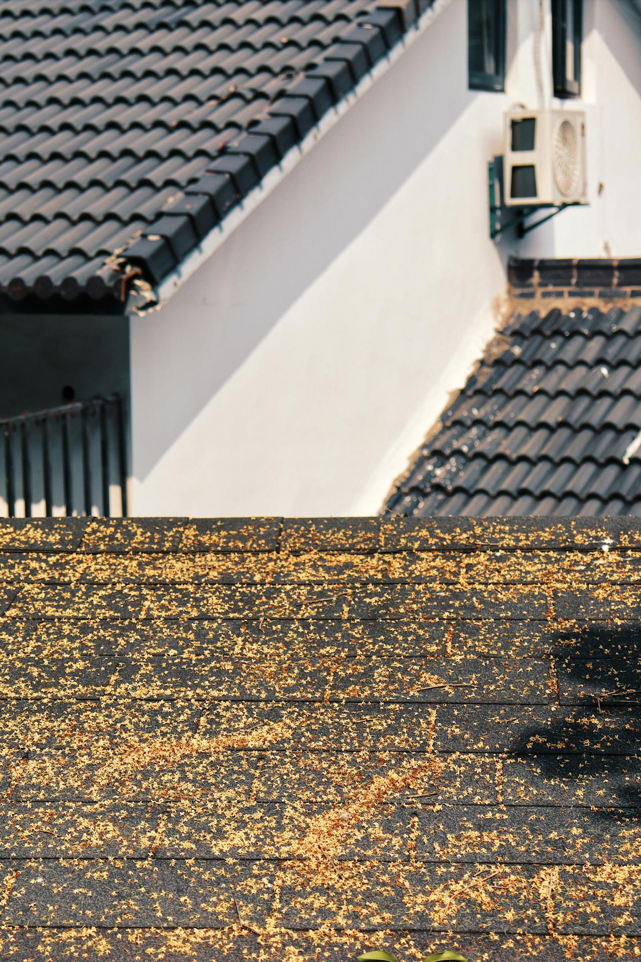 Plan pielęgnacji domu na chłodniejsze miesiące - mycie i impregnacja